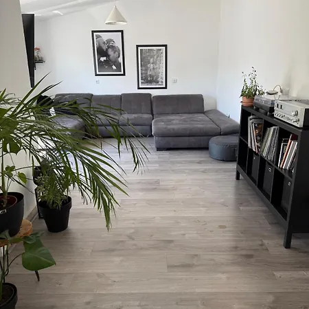 Cozy & Free Parking Apartment Medulin